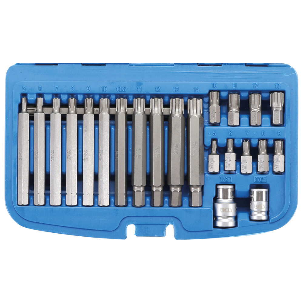 Bit-Satz, Antrieb Außensechskant 10 mm (3/8") Keil-Profil (für Ribe) 22-tlg.