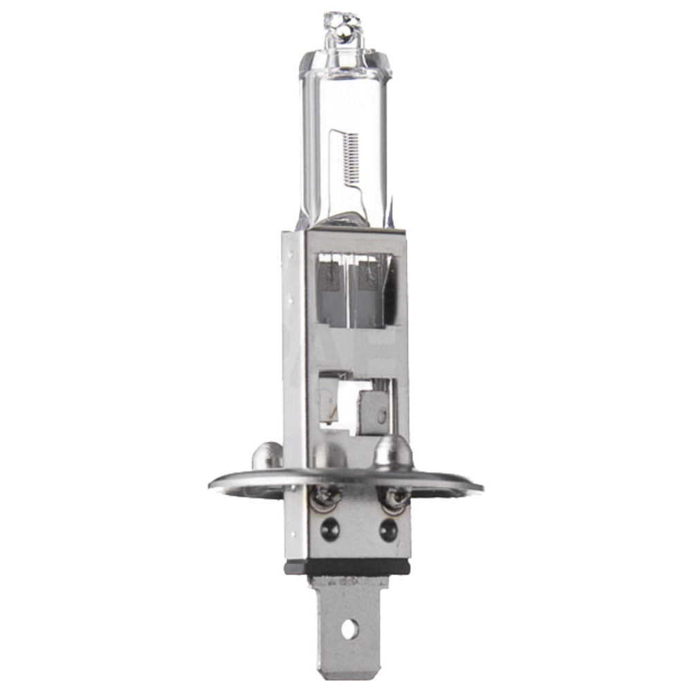 Kfz-Lampe, 24 V, 70 W, PK14s, H1