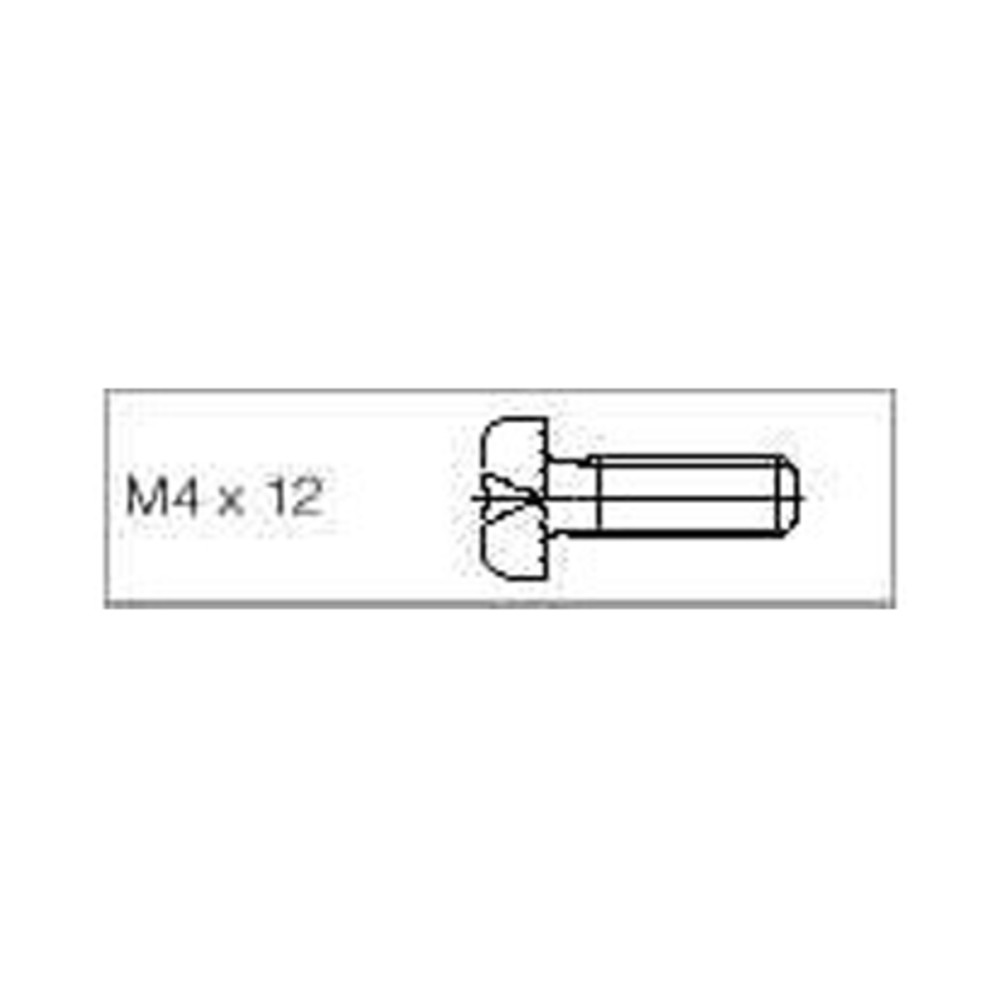 Linsensperrzahnschraube, Torx, M4, 12 mm