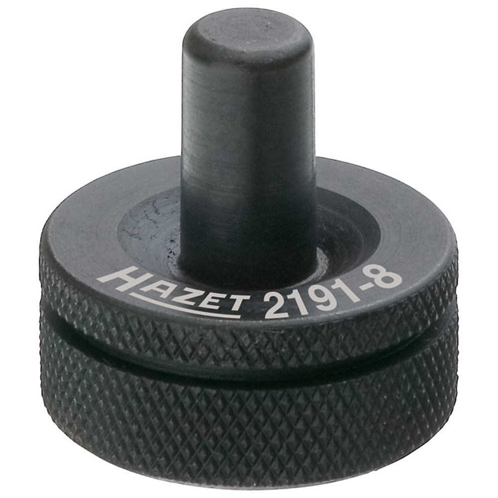 Druckstück 2191-8