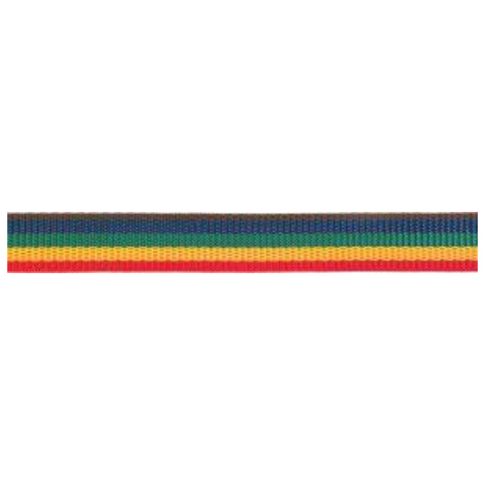 Gurtband Polypropylen 25 mm Rolle 100 m (250 x 110)schw.-gelb