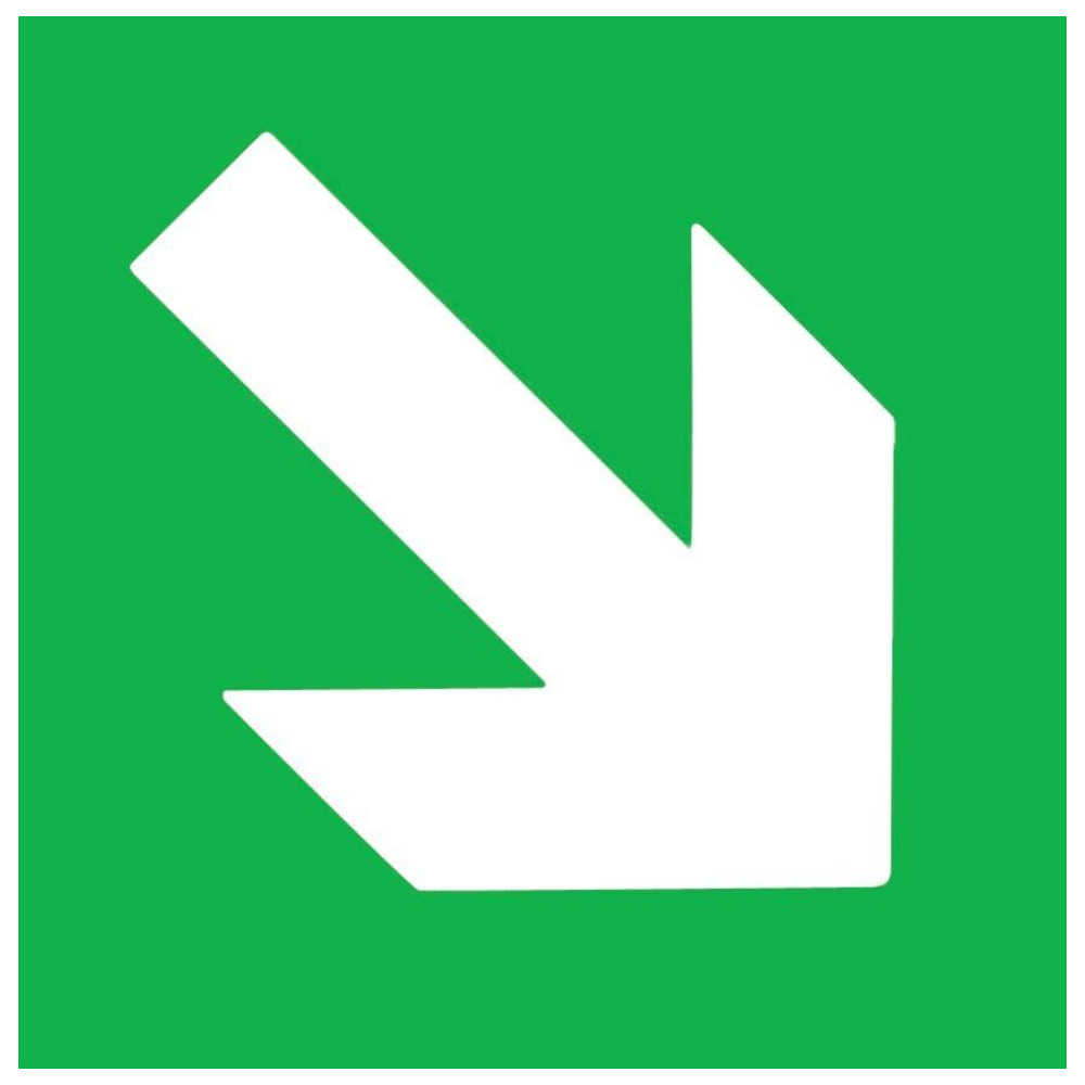Rettungszeichen 150 x 150 mm Alu, Pfeil auf-/abwärts