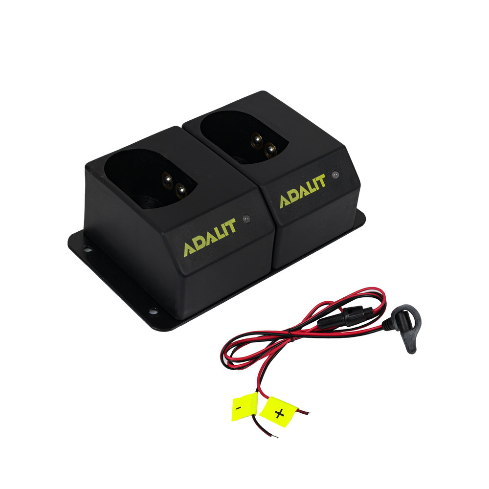 Ladestation für L-3000 / L-4000, Anzahl Ladeplätze 2, 12/24 V