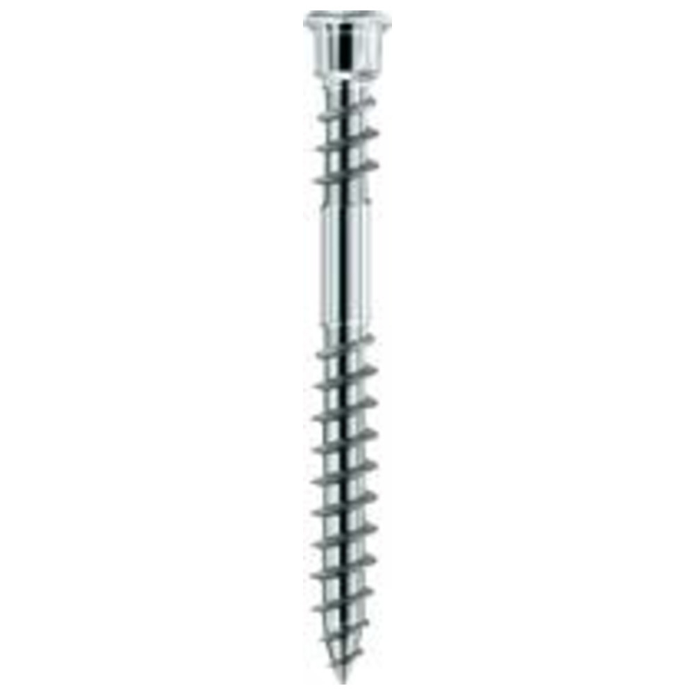 Terrassotec Edelstahl gehärtet 5,5 x 50 TX25