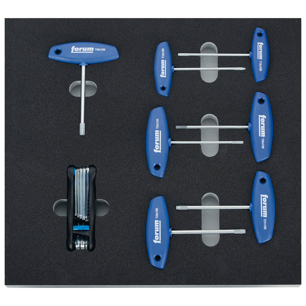 Modul 2017 2/3 Quergriff Torx