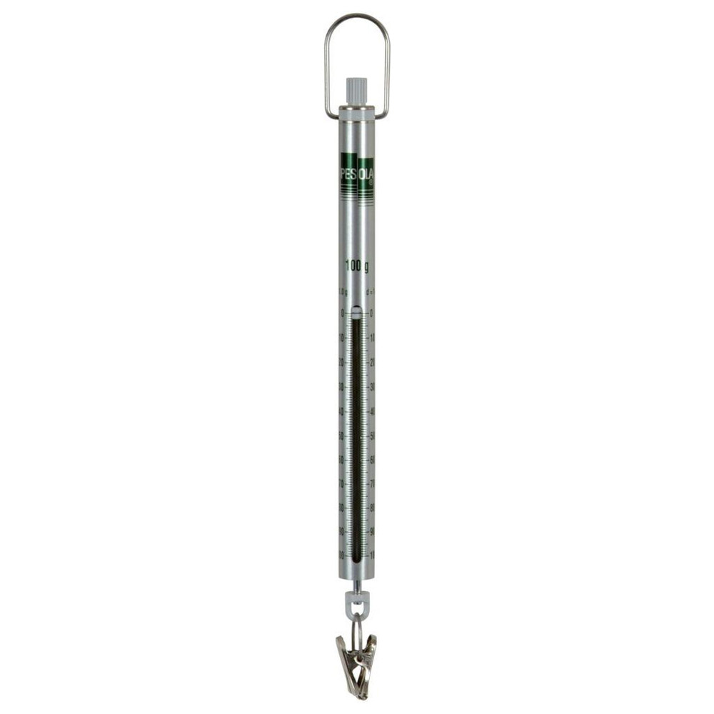 Federwaage Micro 100 g