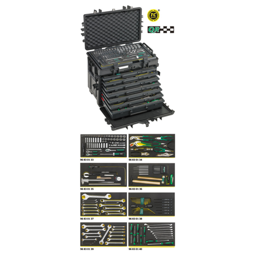 13221 WT/TS AOG-Kit für Flugzeuge im Werkzeug-Trolley Nr. 13217