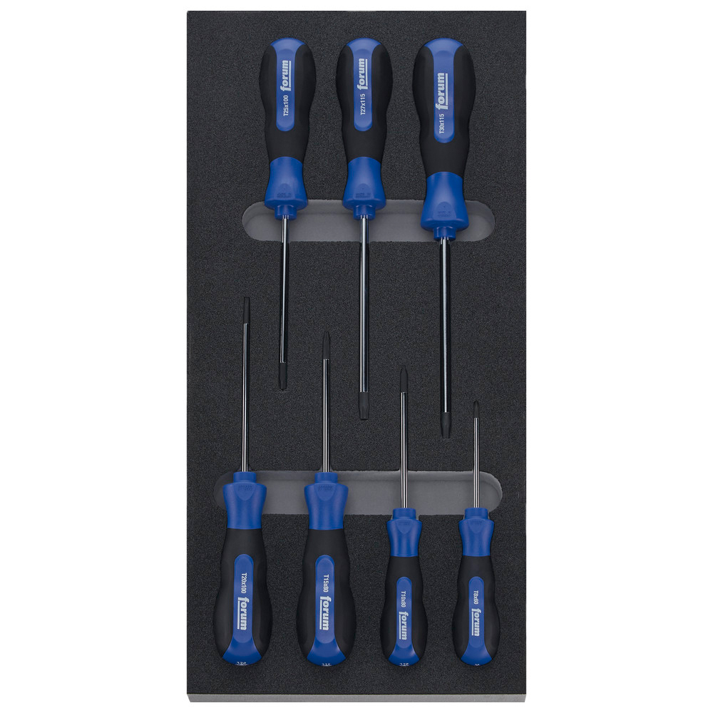 Modul 2017 1/3 Schraubendreher TX
