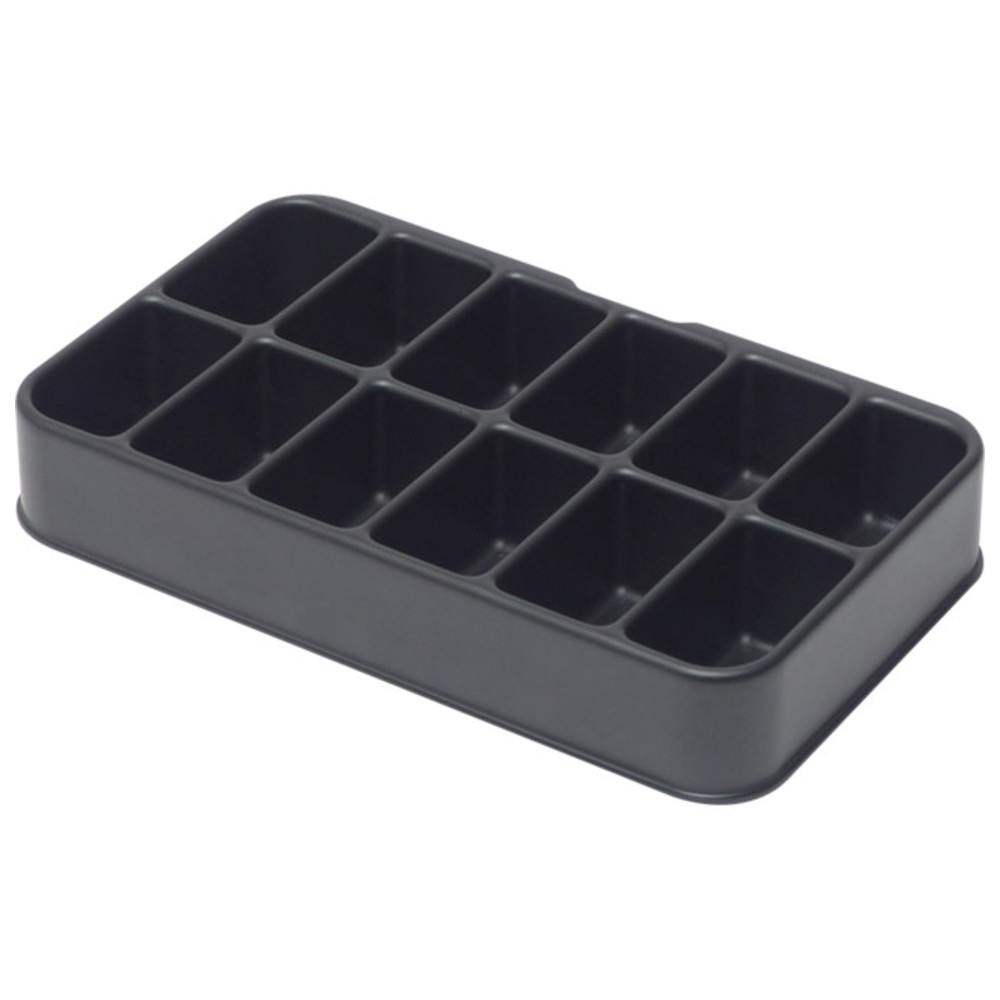 Warmbier Standardeinlage, ESD, Fächer 12 Stück, 45 x 25 mm
