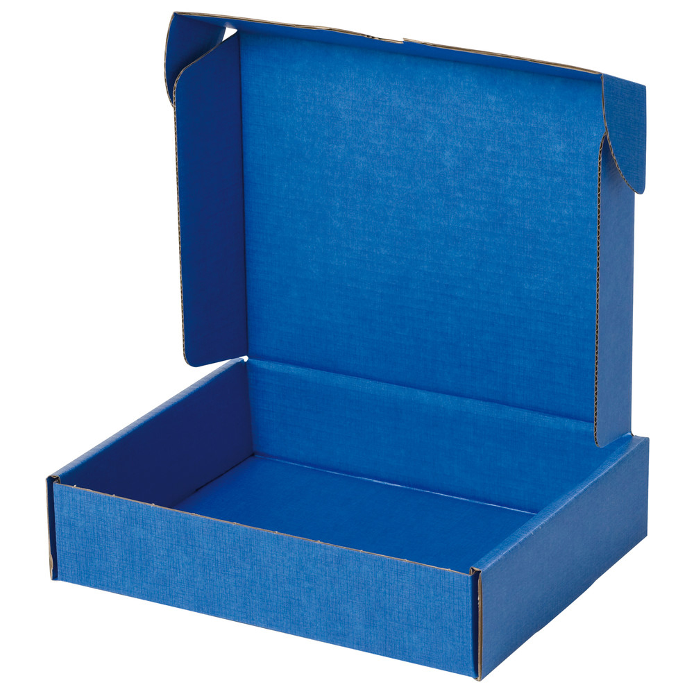 Warmbier Safeshield Versandschachtel, ESD, 250 x 191 x 38 mm, ohne PU-Schaum, -