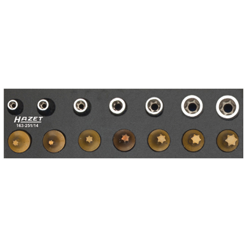 Werkzeug-Satz, TORX 163-251/14 - Vierkant hohl 6,3 mm (1/4 Zoll) - Außen TORX
