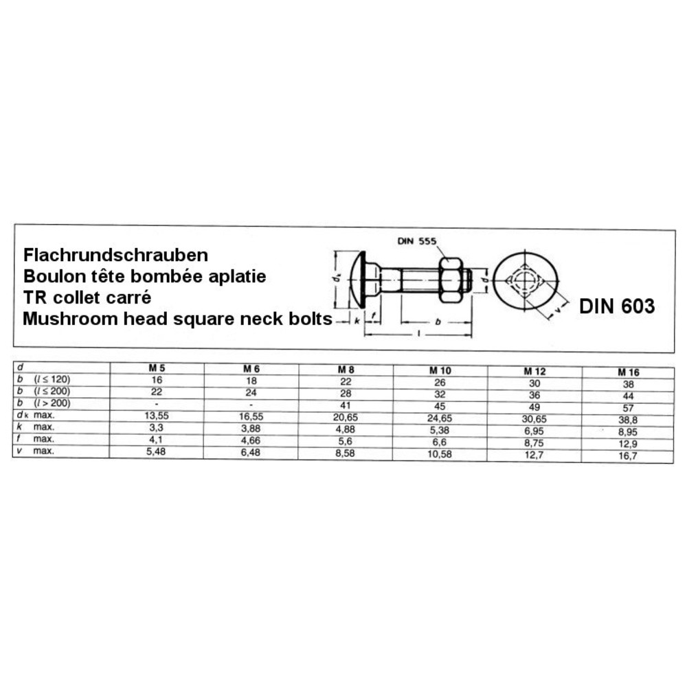 Flachrundschraube mit Vierkantansatz DIN 603, galvanisch verzinkt, M6x30