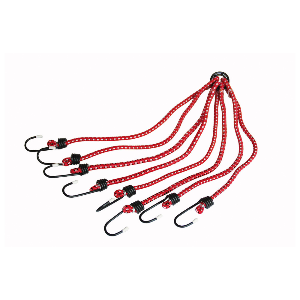 Expanderspinne, 8-armig, Länge 80 cm